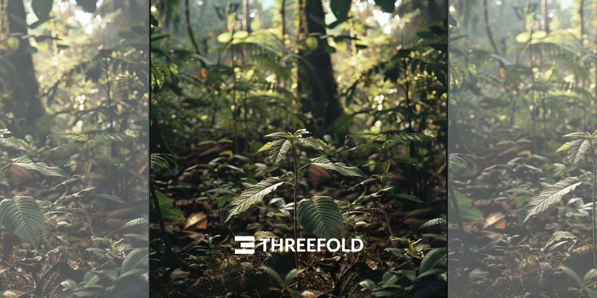 How the ThreeFold Ecosystem Comes AlivePicture