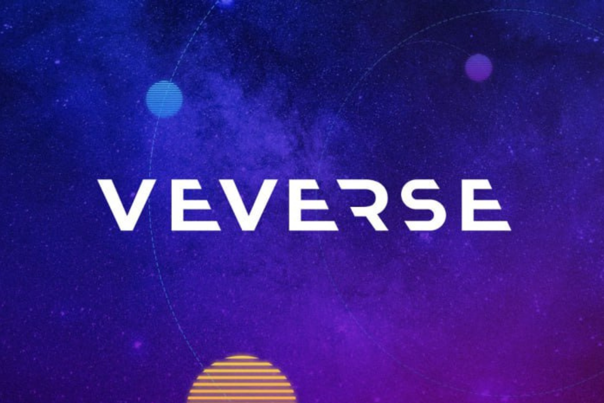VeVerse Picture